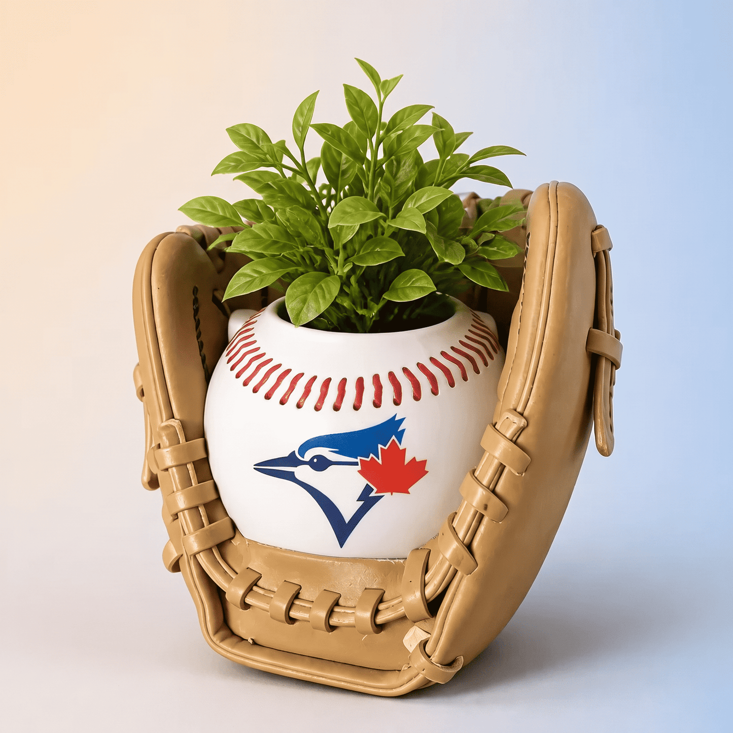 Toronto Blue Jays